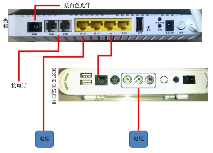 image-20240824111701493