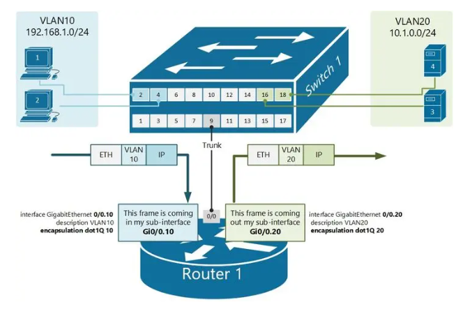 image-20240902143448728