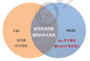 image-20220820175956891