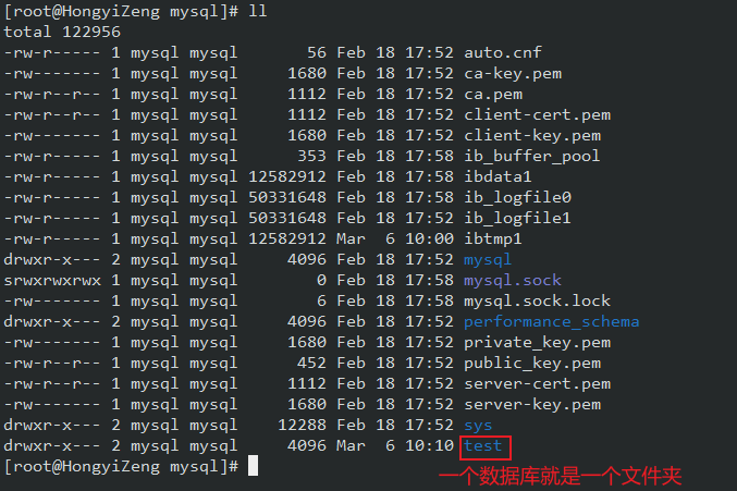 image-20230306101332160