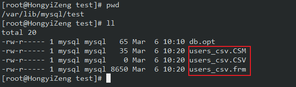 image-20230306102147007