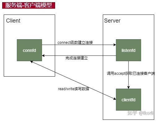 image-20230307102508099