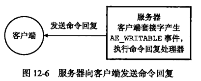 image-20230313170557830