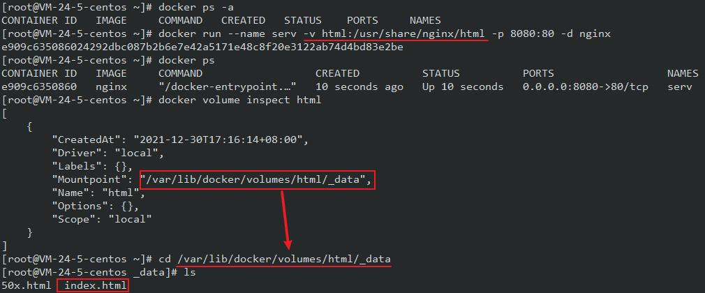 image-20211230172456874