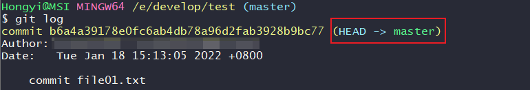 image-20220118151613856